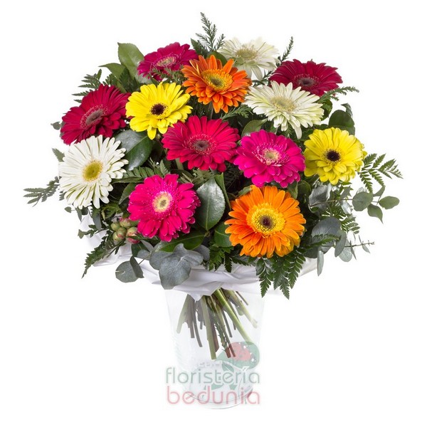 Gerbera Mix