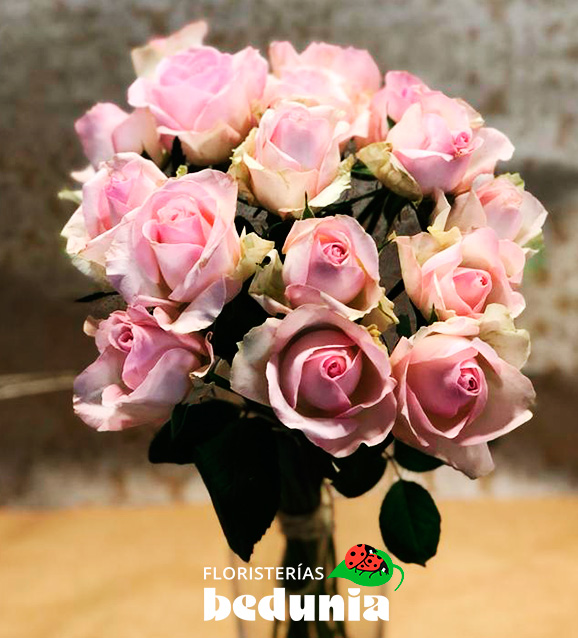 Rosas tallo corto 